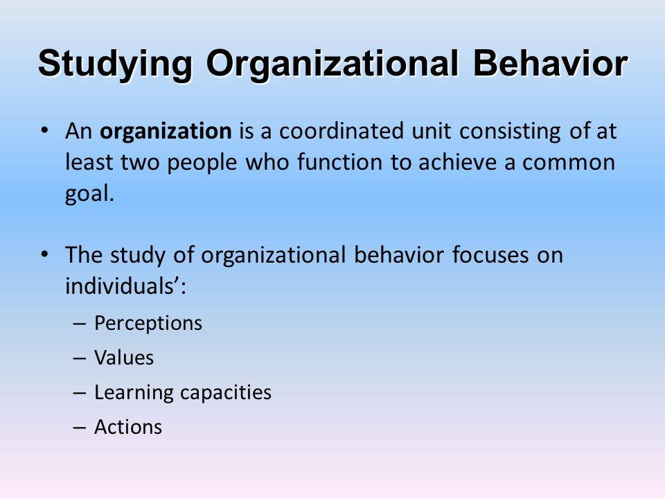 perception organizational behavior pdf